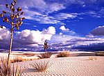 fond ecran  desert