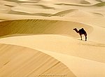 fond ecran  desert