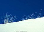 fond ecran  desert