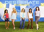 fond ecran  Desperate Housewives 