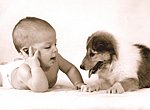 fond ecran  Bébé et chiot