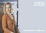 fond ecran  Catherine Willows