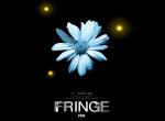 fond ecran  Fringe