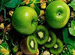 pommes et kiwis wallpaper