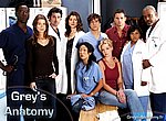 fond ecran  Grey's anatomy