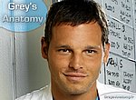 fond ecran  Grey's anatomy