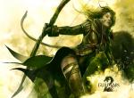fond ecran  Guild Wars 2
