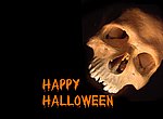 Crâne Halloween wallpaper