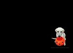 Halloween: chien et citrouille wallpaper