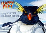 fond ecran  Happy feet