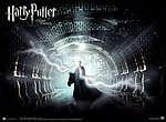fond ecran  Harry Potter et l'ordre du phenix