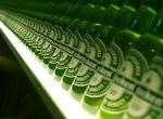 fond ecran  Heineken