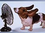 fond ecran  Besoin d'air?
