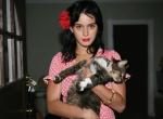 fond ecran  Katy Perry