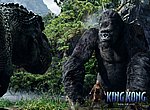 fond ecran  King Kong