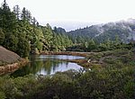 fond ecran  lac en forêt