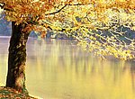 fond ecran  lac