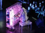 fond ecran  Lady Gaga : Concert