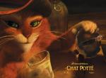 fond ecran  Le Chat Potté : Affiche