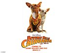 fond ecran  Le Chihuahua de Beverly Hills