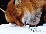 fond ecran  Le renard et l'enfant