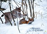 fond ecran  Le renard et l'enfant