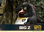 fond ecran  Les Rois de la Glisse: Big Z