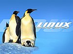 fond ecran  linux