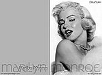 fond ecran  Marilyn Monroe