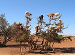 fond ecran  Maroc