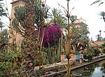 fond ecran  Maroc