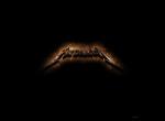 fond ecran  Metallica