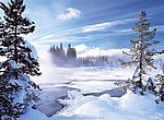 fond ecran  sapins