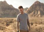 fond ecran  M Pokora