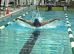 fond ecran  natation