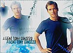 fond ecran  Antony Dinozzo