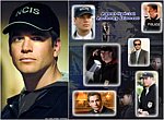 fond ecran  NCIS: Dinozzo