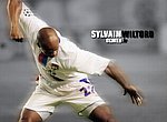 fond ecran  Olympique Lyonnais : Sylvain Wiltord