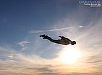 fond ecran  parachutisme