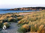 fond ecran  plage en Vendée