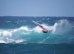 fond ecran  planche à voile