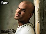 fond ecran  Prison Break 2 : Sucre