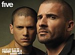 fond ecran  Prison Break 2 : Michael et Lincoln
