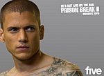 fond ecran  Prison Break 2 : Michael