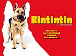 fond ecran  Rintintin