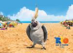 fond ecran  Rio