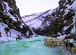fond ecran  Rivière gelée