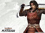 Samurai Warriors wallpaper