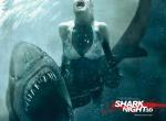 fond ecran  Shark 3D : Affiche