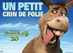 fond ecran  Shrek 4 : l'Ane